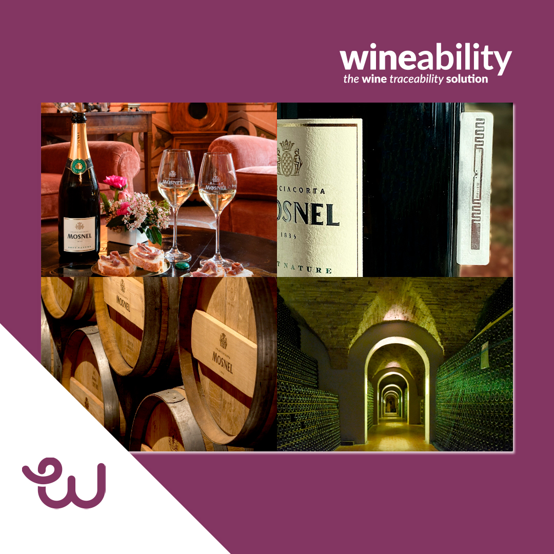 Wineability - Rassegna stampa Cantina Mosnel