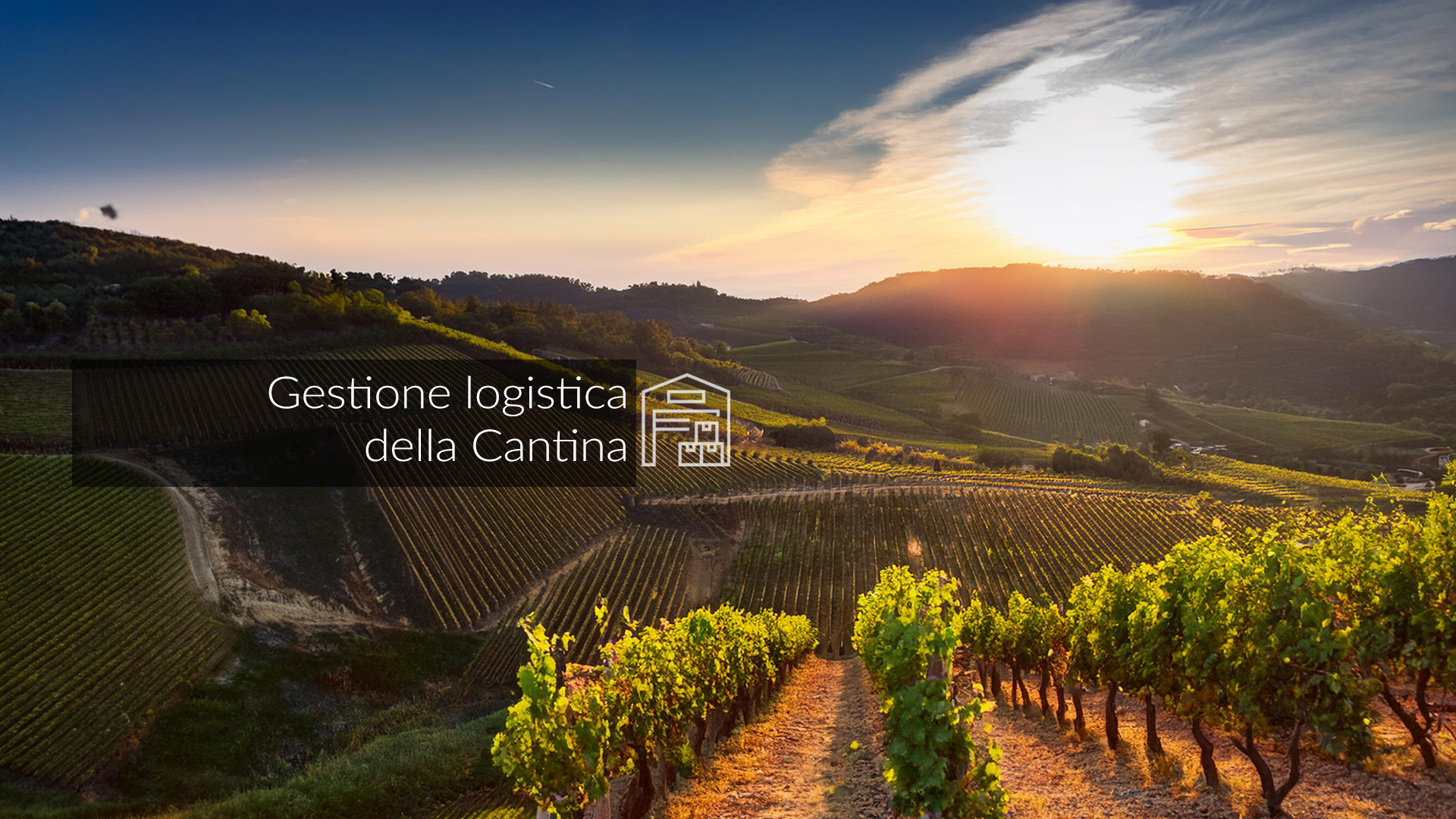 Gestione della Cantina Gestione della Cantina